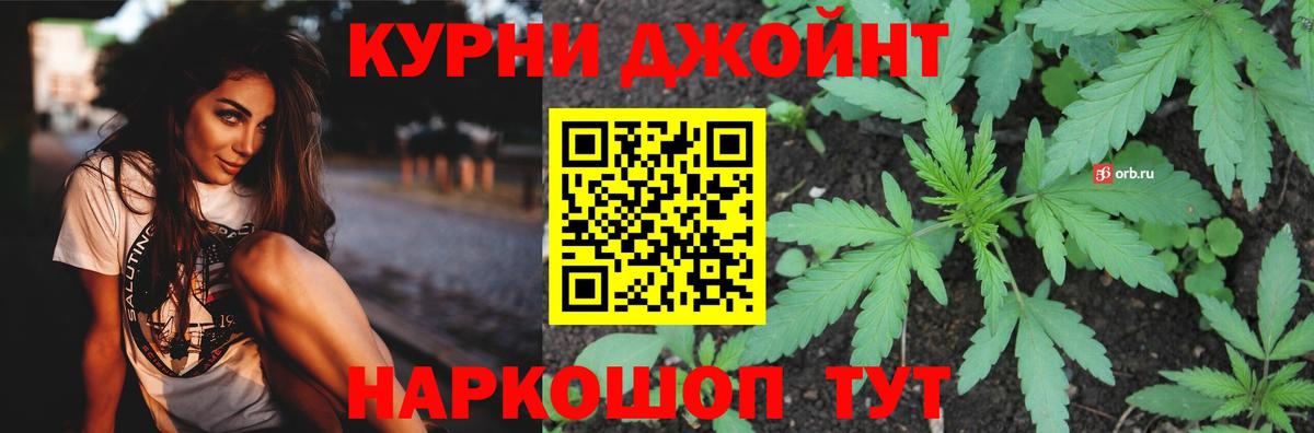 МАРИХУАНА сатива Кызыл
